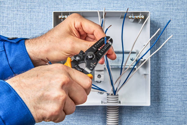 Best Electrical Panel Upgrades  in Springfield, SD